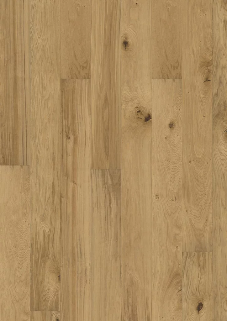 Oak Cosenza