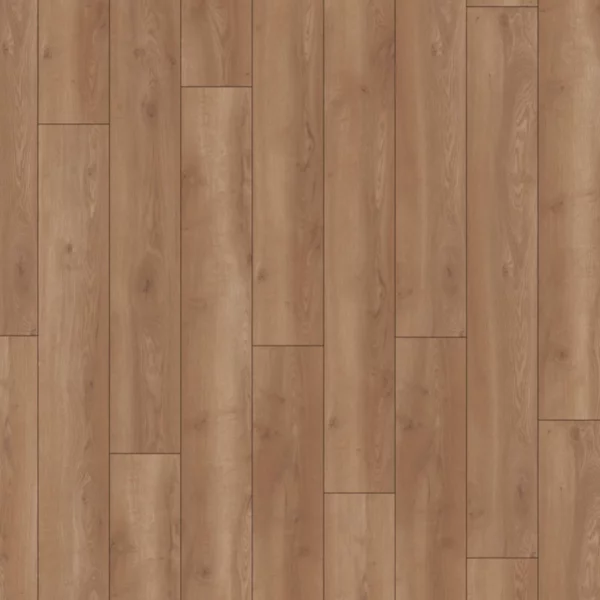 Fourteen Solid - Mountain Oak Gold