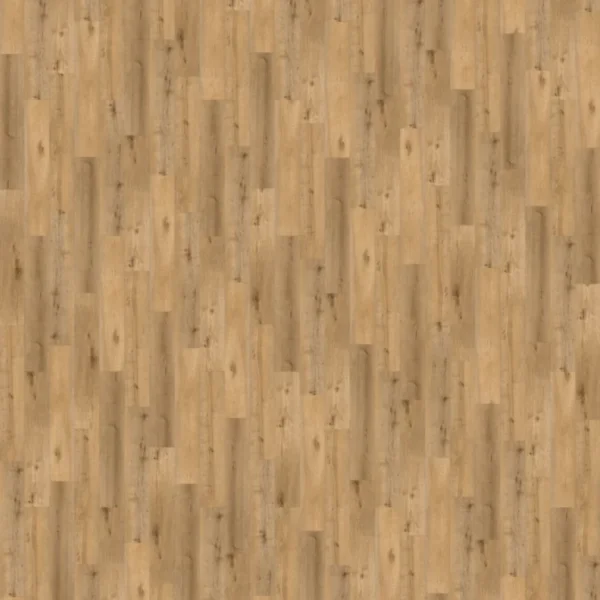 Tobiano