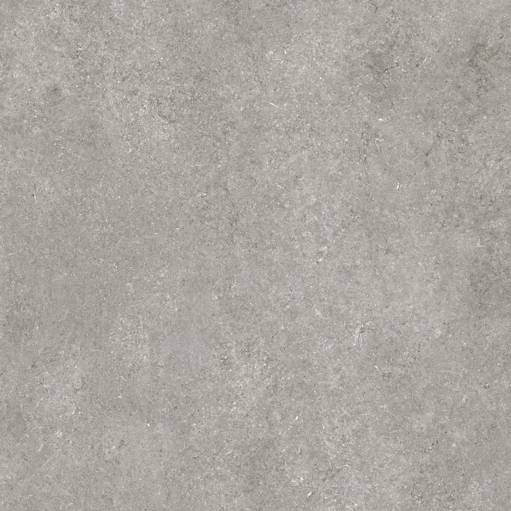 Sensi Grey Fossil