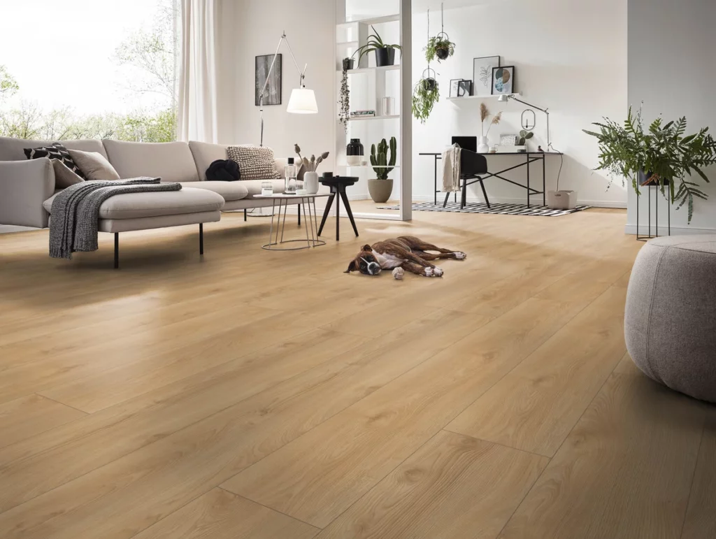 Mammut Plus - Makro Oak Silver